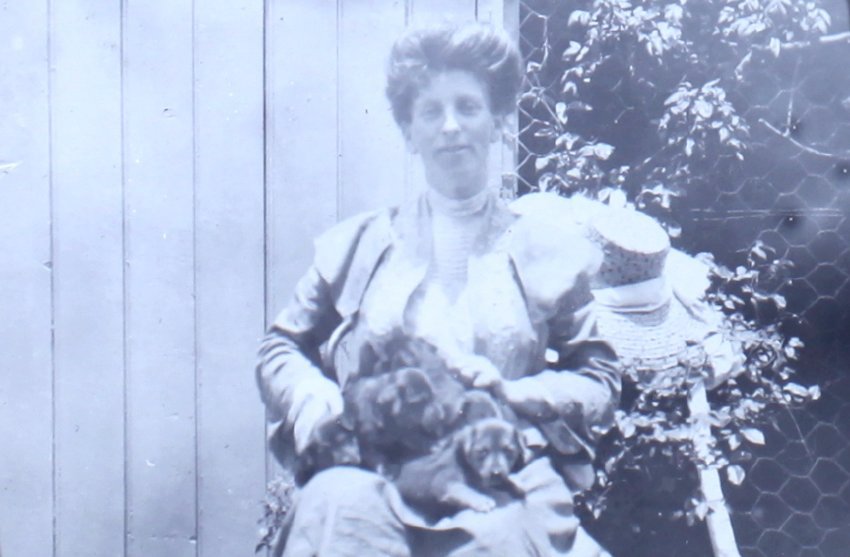 Mrs. R and Bobbies puppies