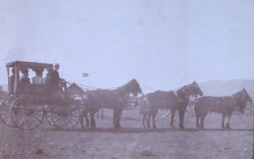 Mr. P Beauman's six-in-hand