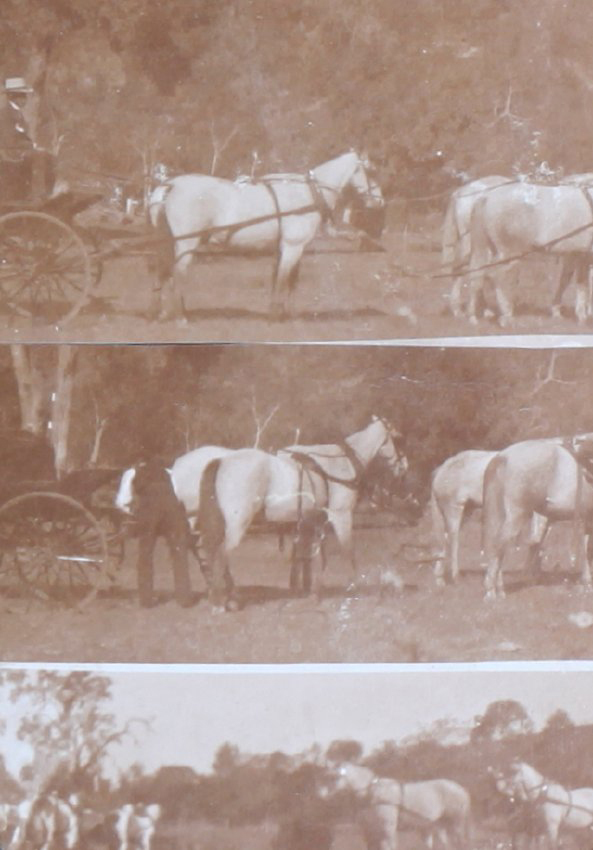 Three images of four-in-hand team