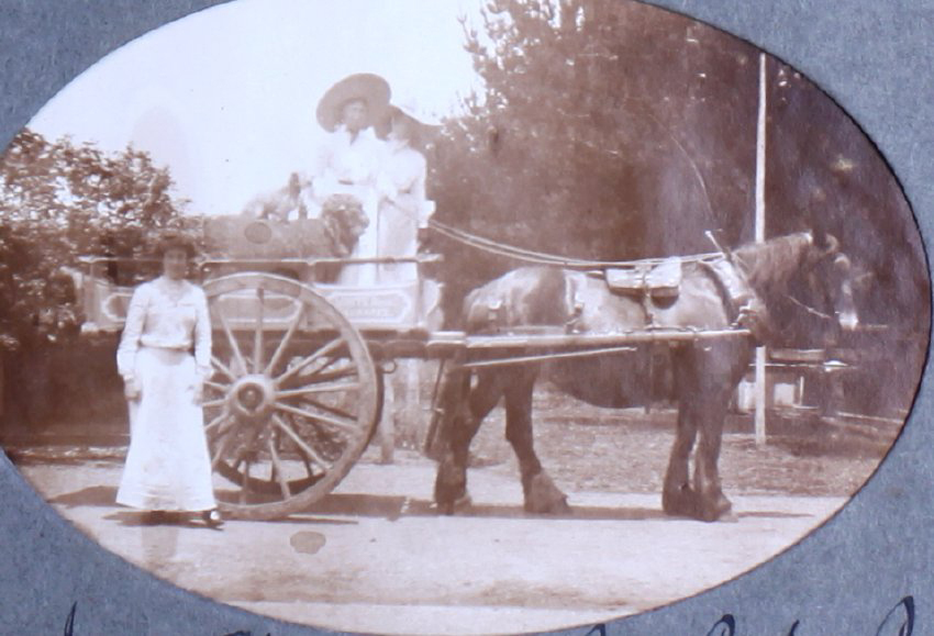 Ivy, Elsie, Joan, Peggy, Pat and Bonnie