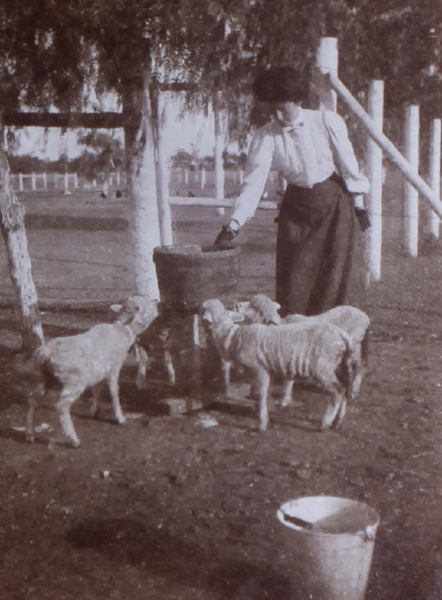 Grace and lambs