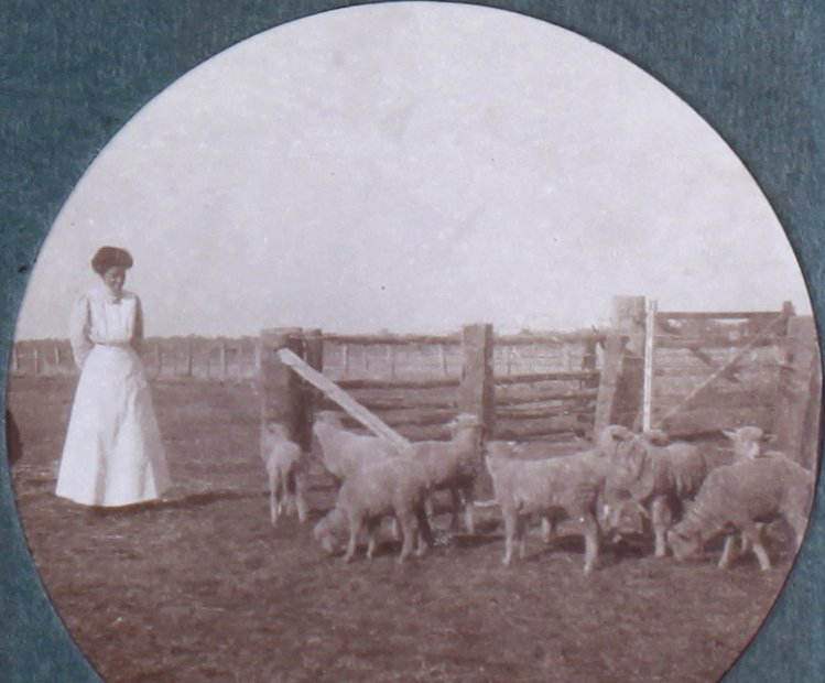 Grace and lambs