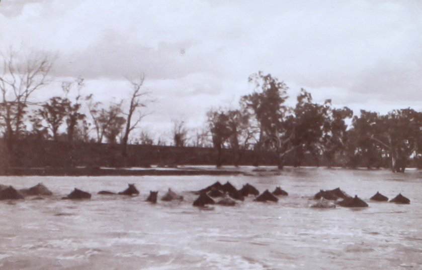 Creek in flood at Bundemar