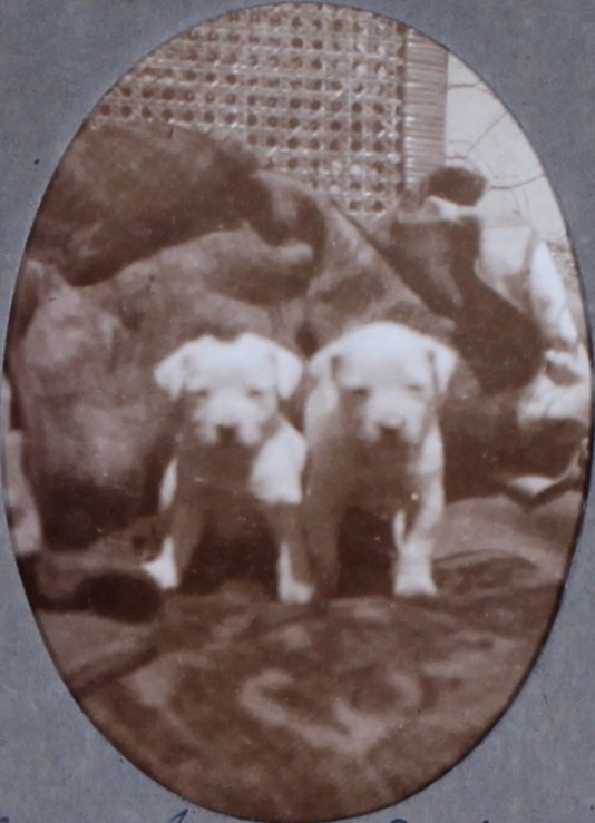 Jessamy Breda and Juniper