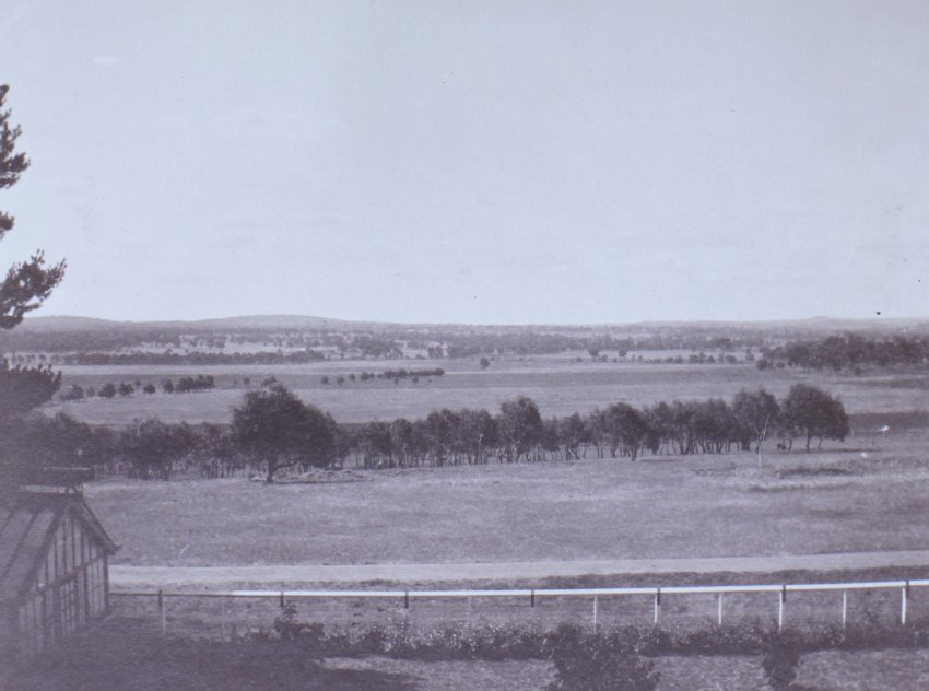 View from the house across the farm