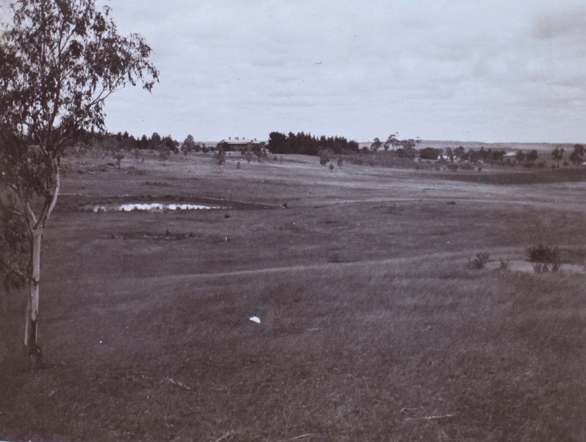 View across farm towards the house