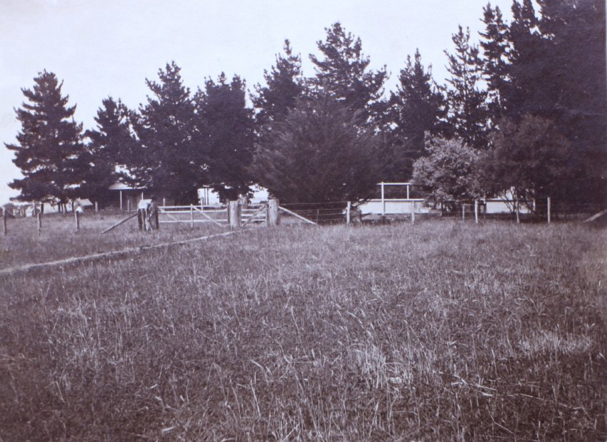 Father's office and dogs yard