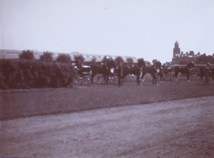 Fidgrig [?], Dublin Horse Show, Ireland 1905