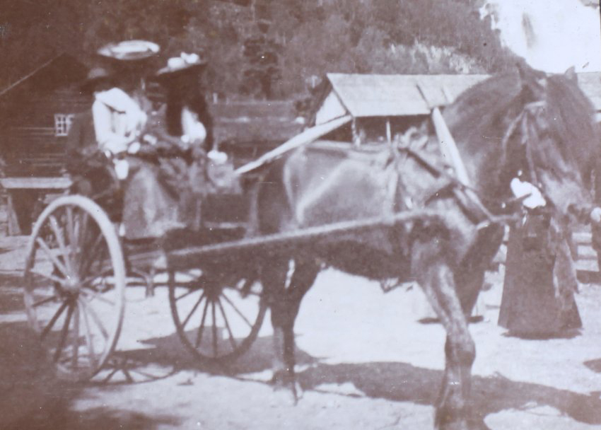 Mrs Hart / Mrs Stewart