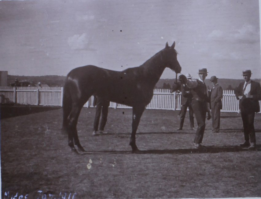 Midoc Jan, 1910