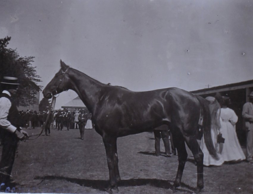 Racehorse with groom