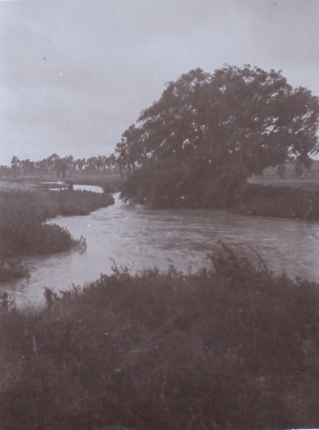 Saumarez Creek in flood