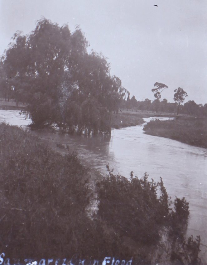 Saumarez in flood