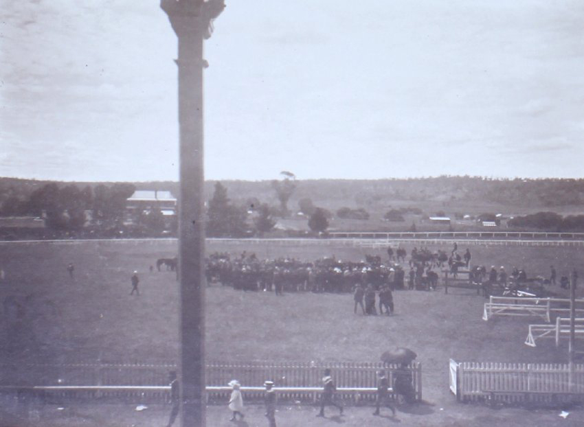 View from the grandstand