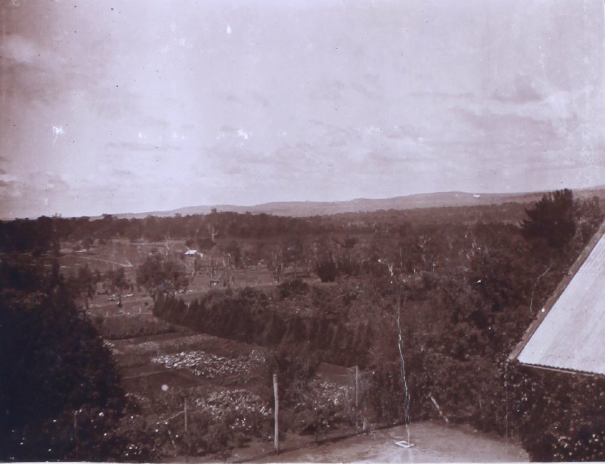 View of the gardens from the house
