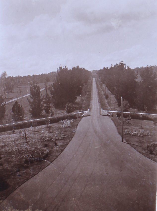 View of the Avenue from the house