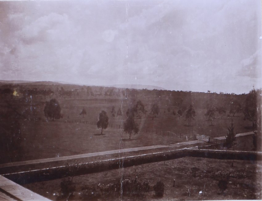View of the paddocks from the house