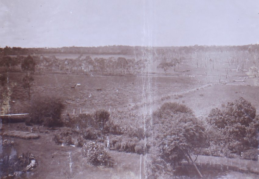 View of the gardens and paddocks from the house