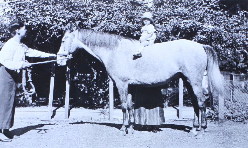 Unidentified child sitting on a horse