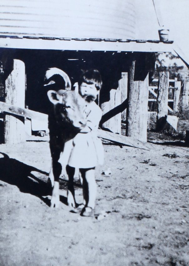 Unidentified child with calf