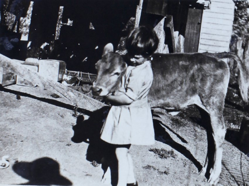 Unidentified child with calf