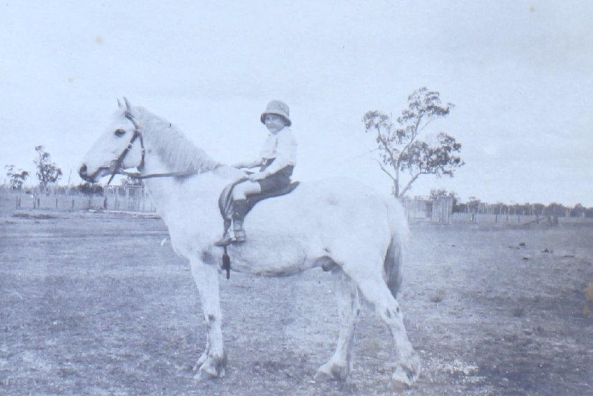 Young boy sitting on a horse