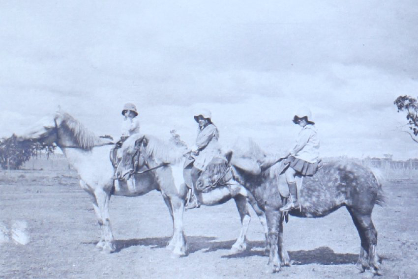 Three young children sitting on horses