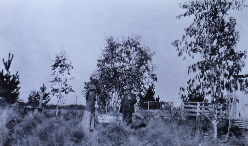 Unidentified man and woman in a paddock
