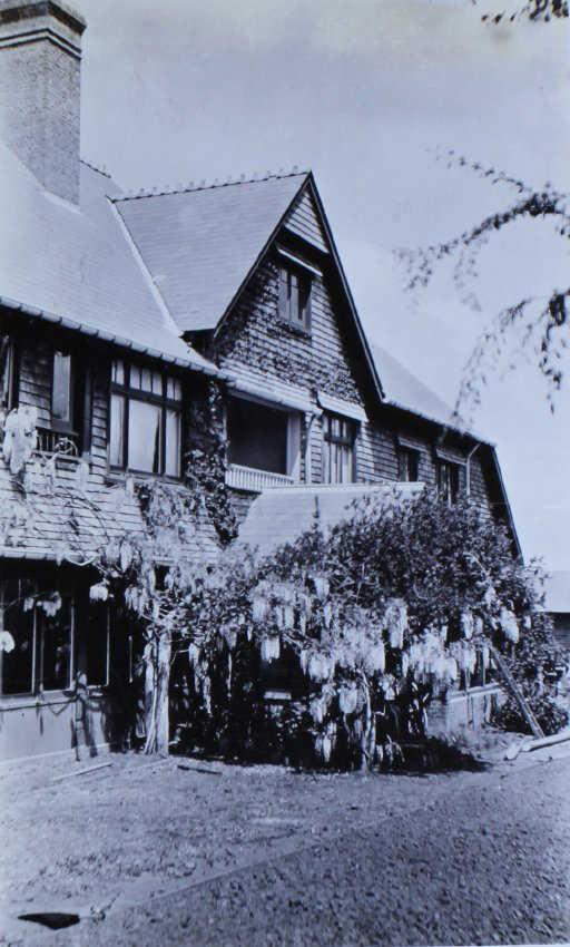 Wisteria growing up the side of a house