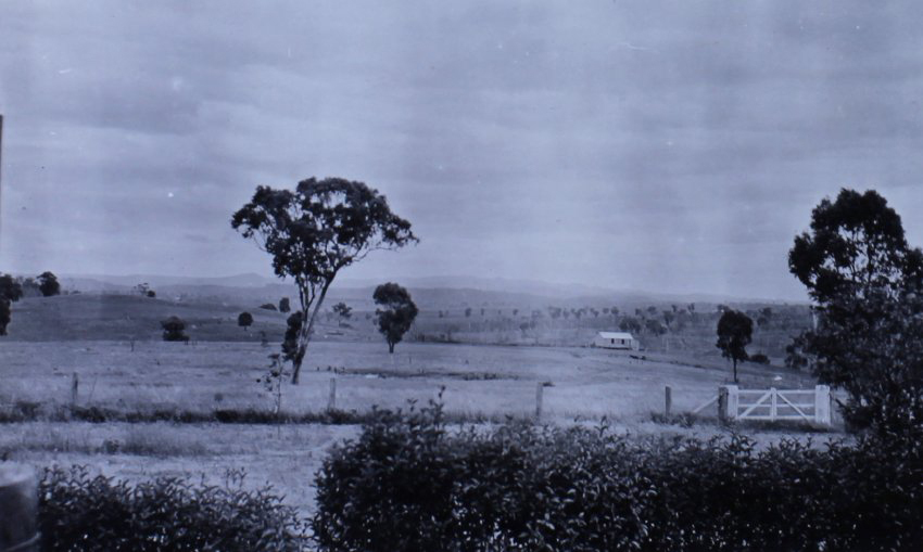 View across the paddocks