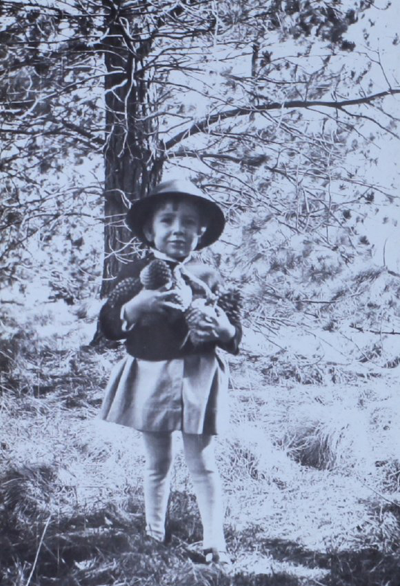 Young girl with pine cones