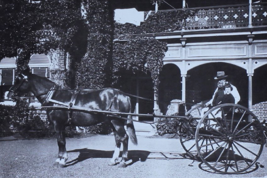 Man and young girl in a horse and buggy