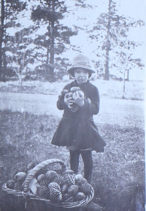 Young girl with an armful of pines cones and a basket of cones