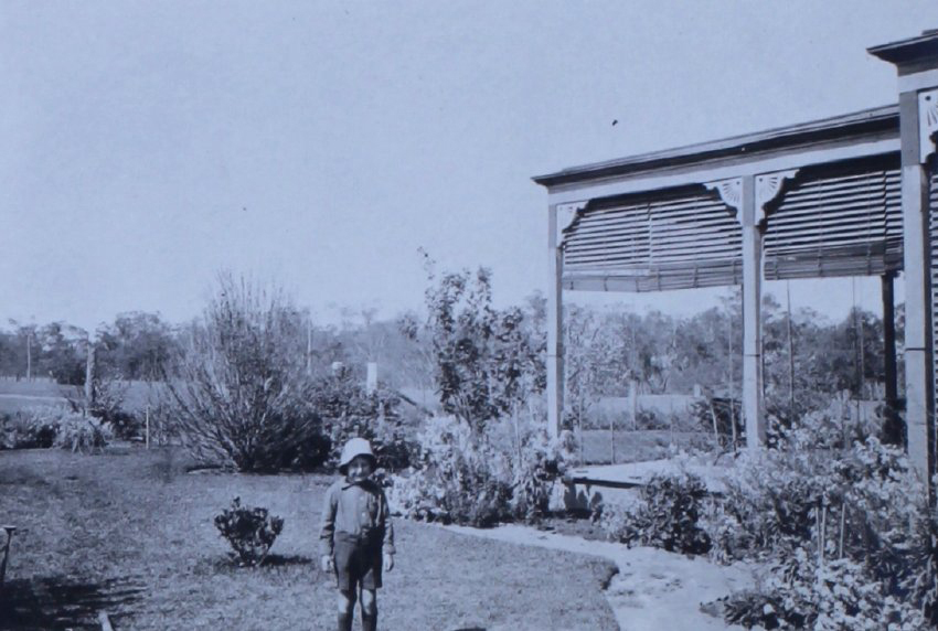 Young boy standing in the garden
