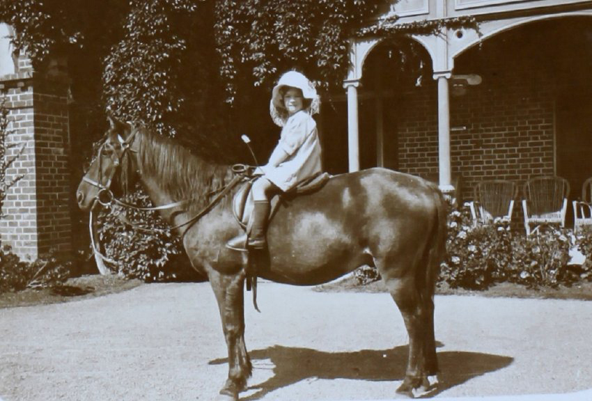 Young girl on a horse