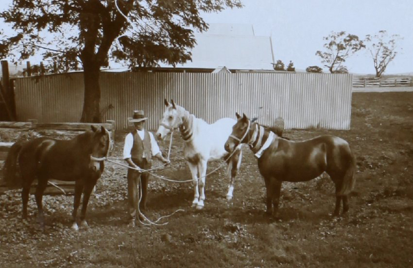 Man holding three horses