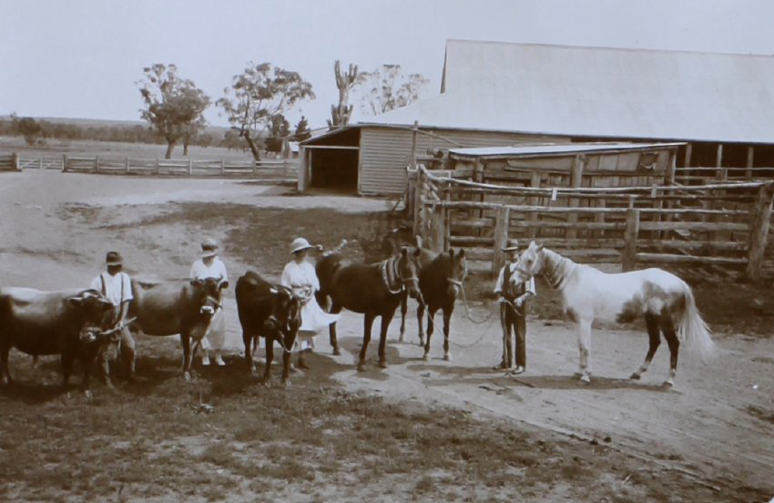 Men and women holding horses and cattle