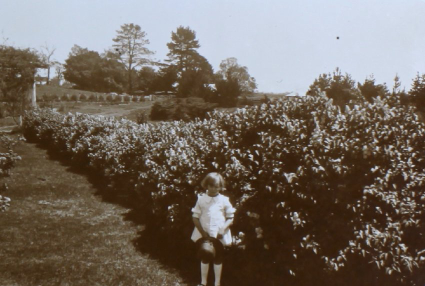 Young girl beside a hedge in the garden
