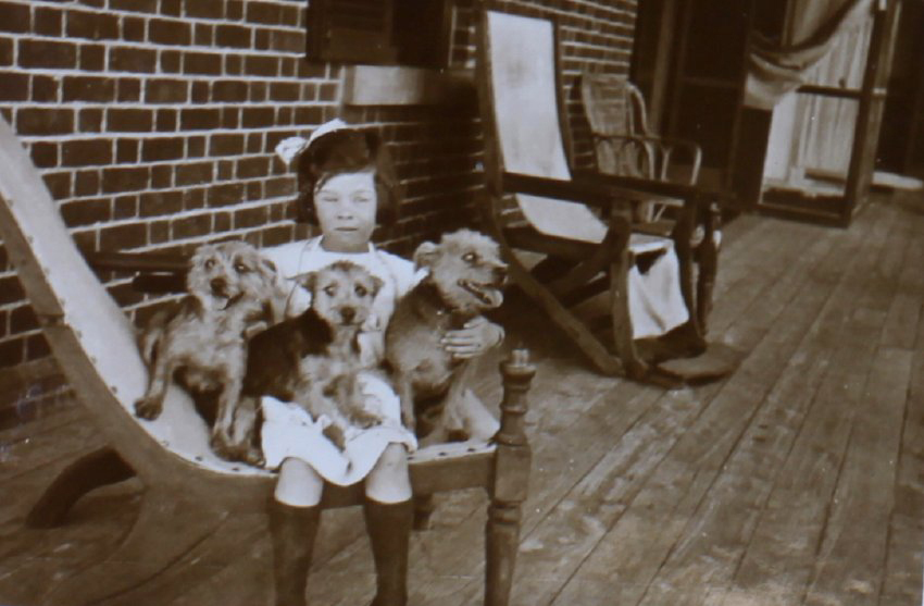 Young girl with pet dogs