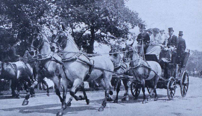 Sir Edward Stern's Blue Roans