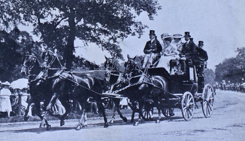 Mr. Lindsay Hogg's Chestnuts. Coaching Club Meet