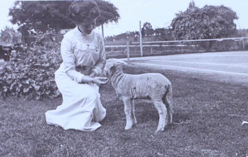Woman and pet lamb on the lawn