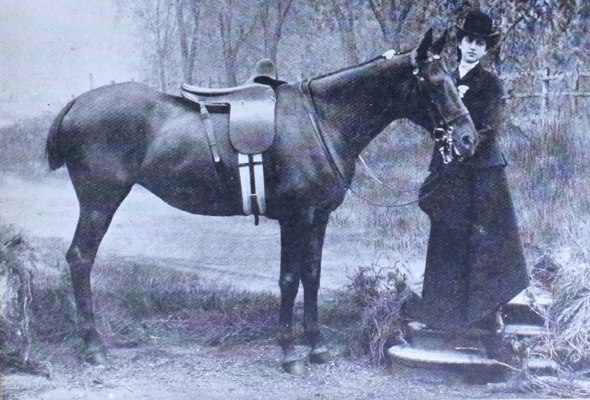 Miss Margaret Kaufman