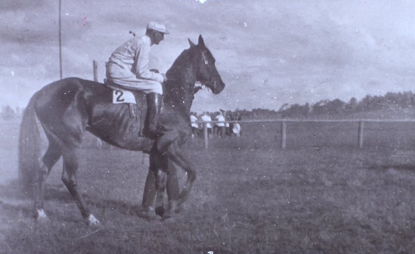 Race horse and jockey, handler behind the horse