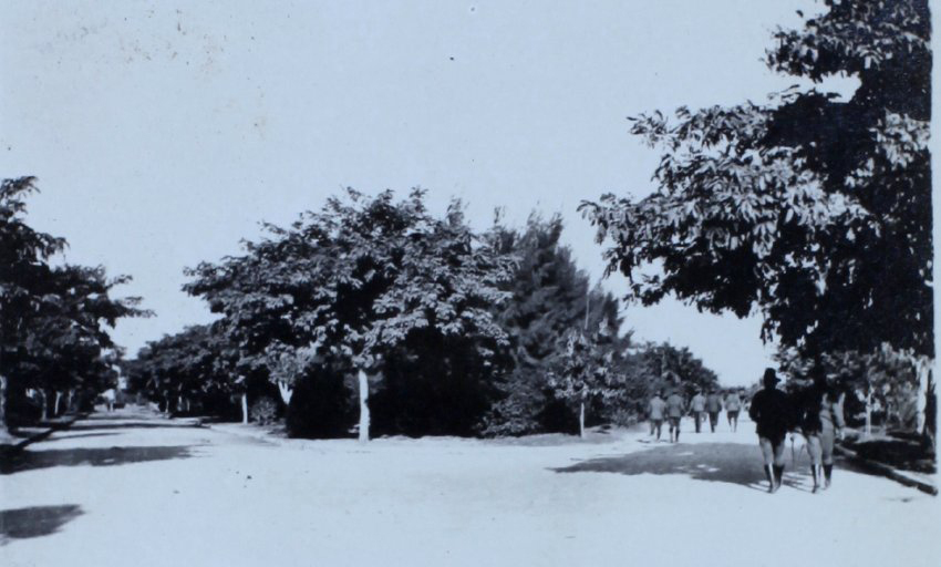 Soldiers walking through a park
