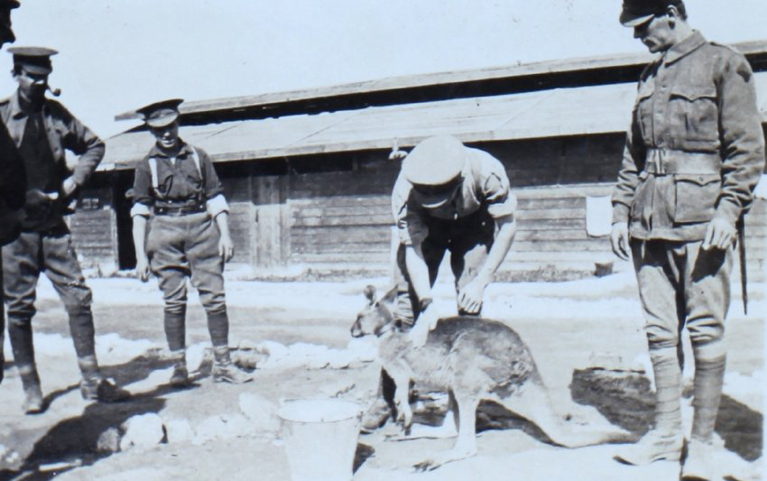 Soldiers with a kangaroo