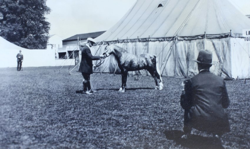 Richmond Horse Show - caption