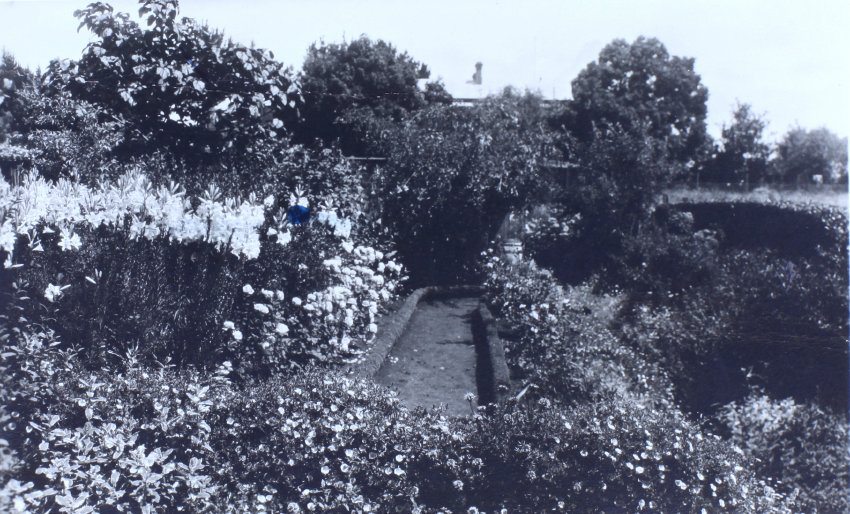 View of gardens with a house in the background behind trees