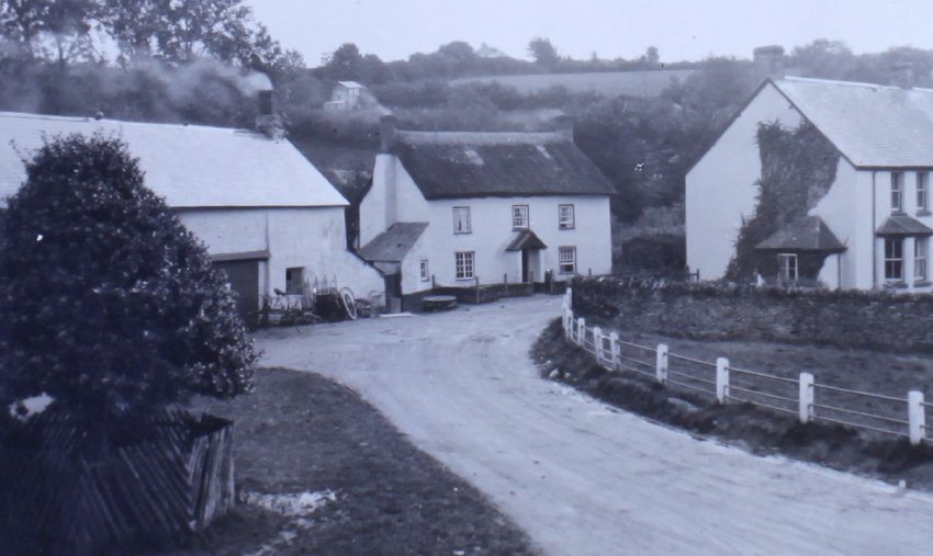 Exford 