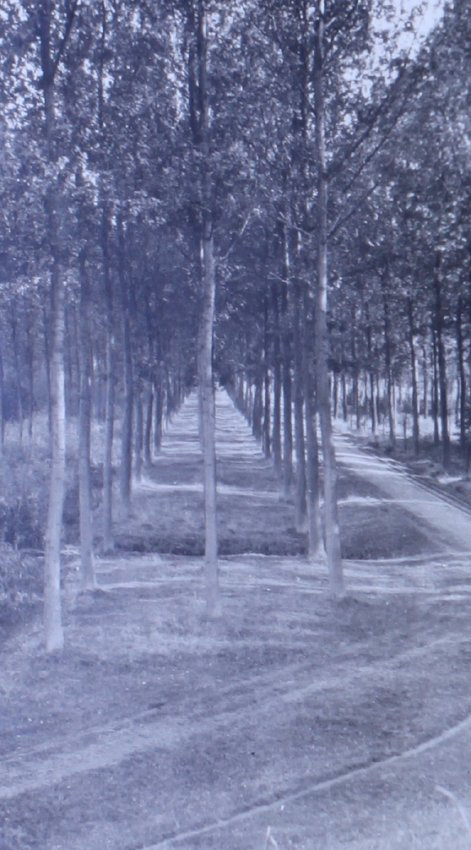 Up the river from Antwerp 